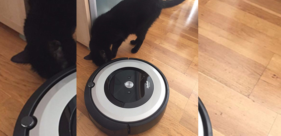 robot aspirador Roomba e5 opinion